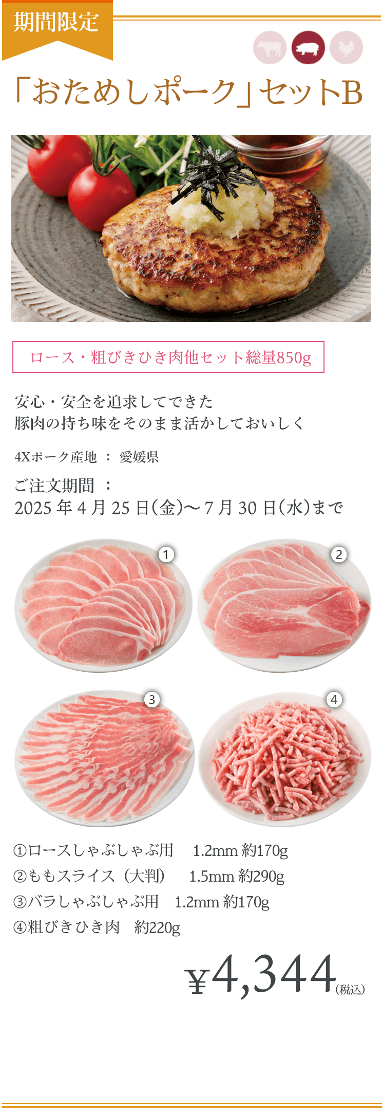 「おためしポーク」Bセット