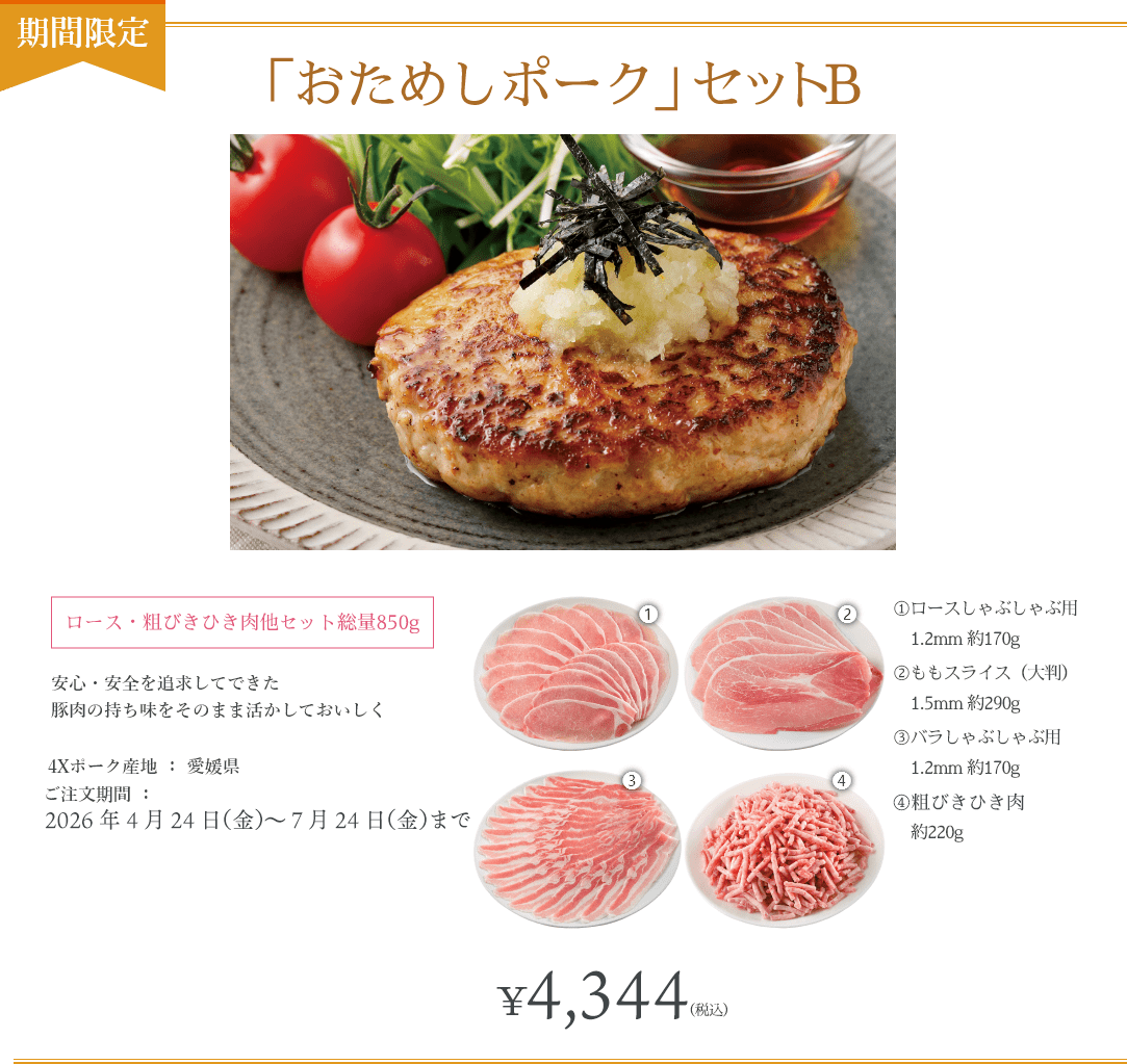 「おためしポーク」Bセット