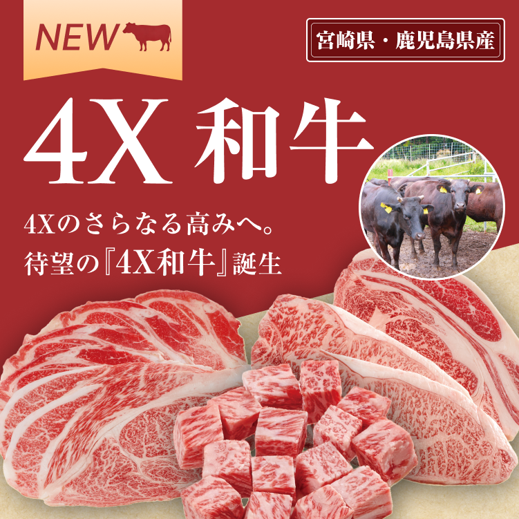 安心・安全、おいしさと健康をお届けする、こだわりのお肉 ～毎月ご自宅にお届けする、おいしいお肉の定期便～ 4X MEAT 2026